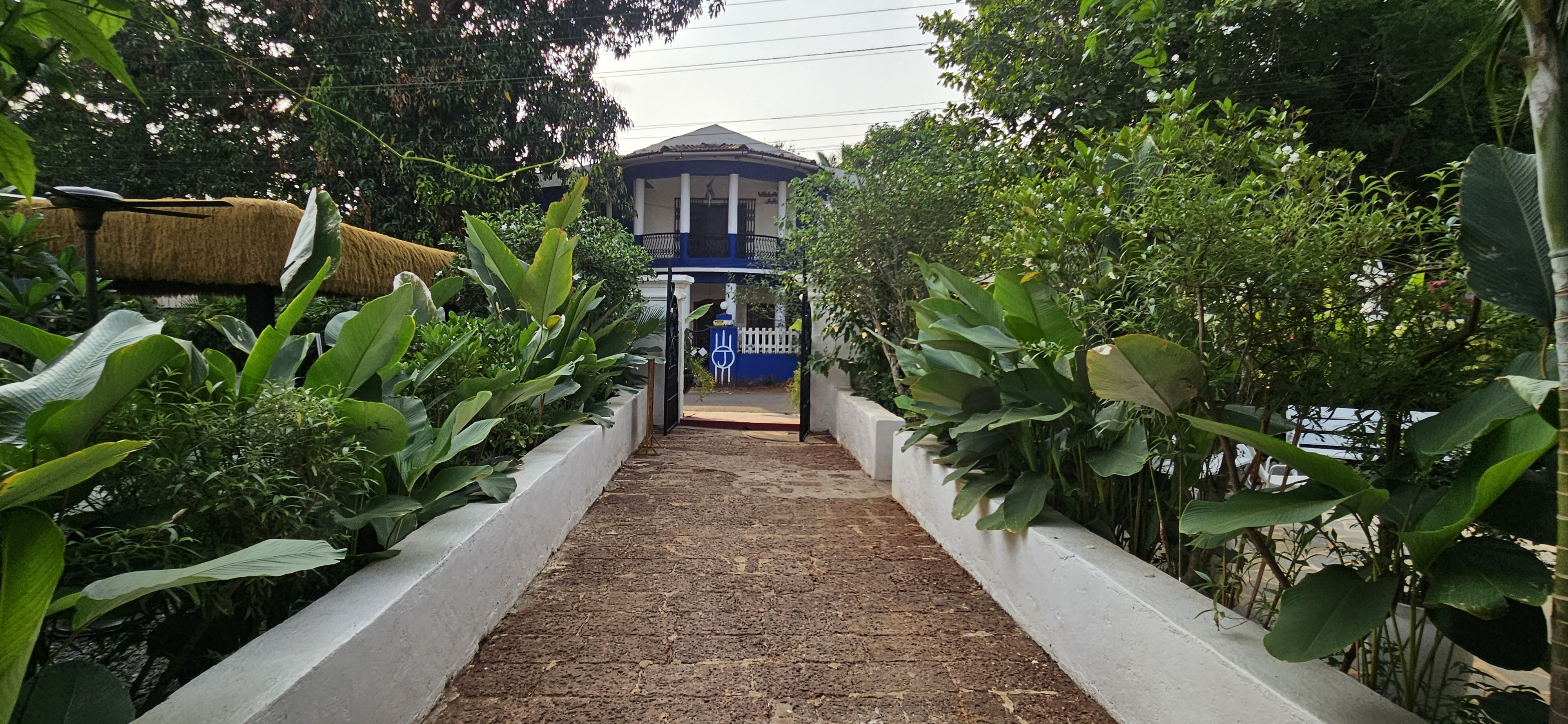 Lush landscape design at Moira Club featuring modern garden aesthetics